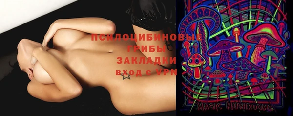 сатива Алзамай