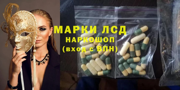 сатива Алзамай