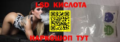 гашик Моздок