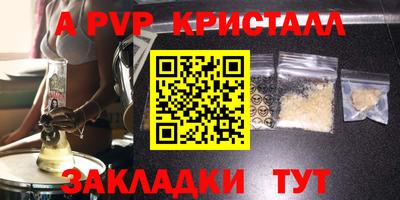гашик Моздок