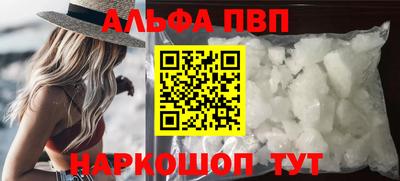 гашик Моздок