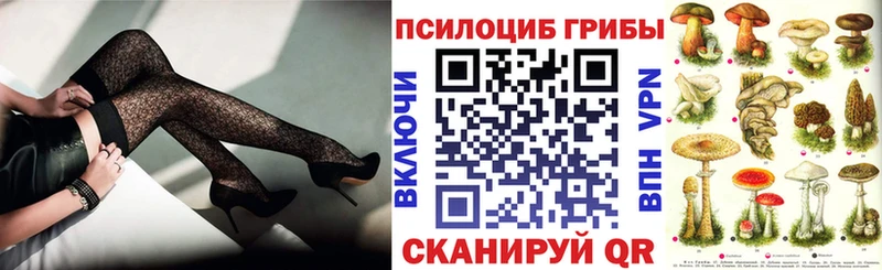 Галлюциногенные грибы Psilocybine cubensis hydra вход Чусовой
