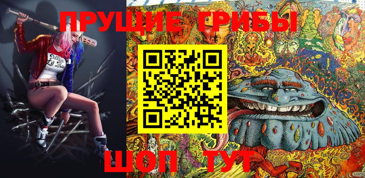 Галлюциногенные грибы Cubensis Чусовой