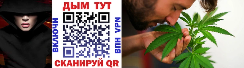 Канабис гибрид Чусовой